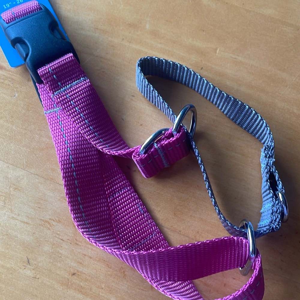 RC Pets martingale clip collar 19”-26” (large)